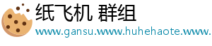 纸飞机 群组
